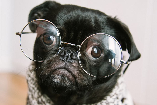 Professional Marketing Support