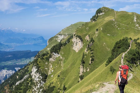 Setting Goals for your Coffee Shop Business